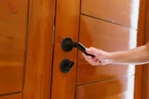 Door Finish Types